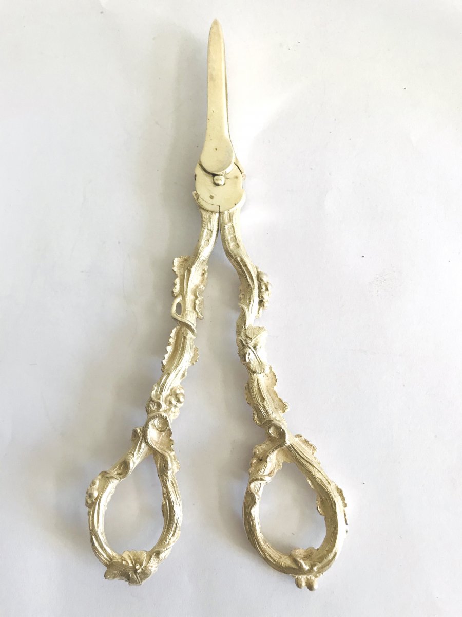 Great Pair Of Scissors Grapes Silver English-lion Passing-photo-4