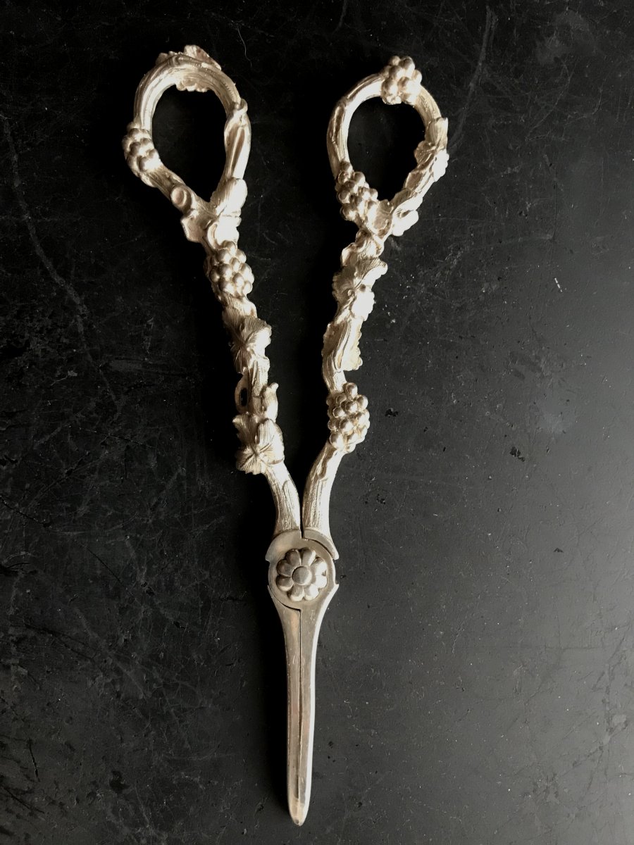 Great Pair Of Scissors Grapes Silver English-lion Passing