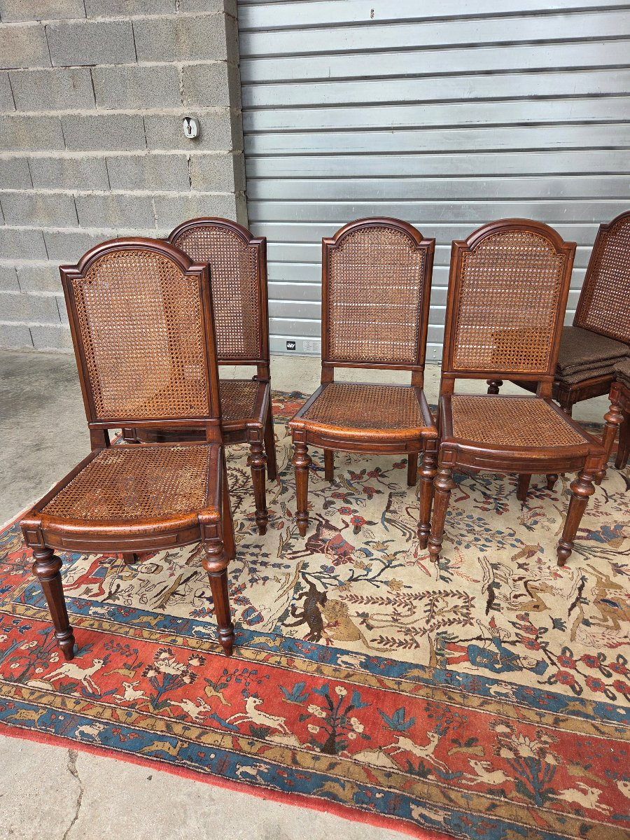 Set Of 8 Caned Walnut Chairs, Louis XIII Style, 19th Century. -photo-3