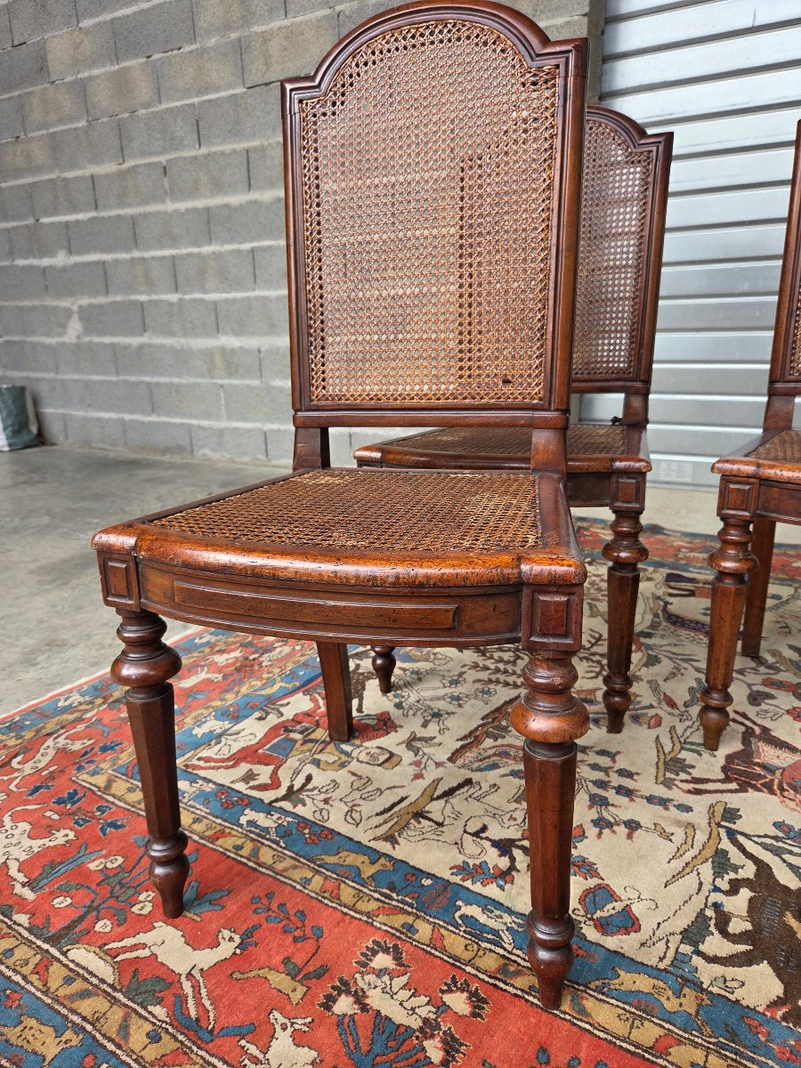 Set Of 8 Caned Walnut Chairs, Louis XIII Style, 19th Century. -photo-1