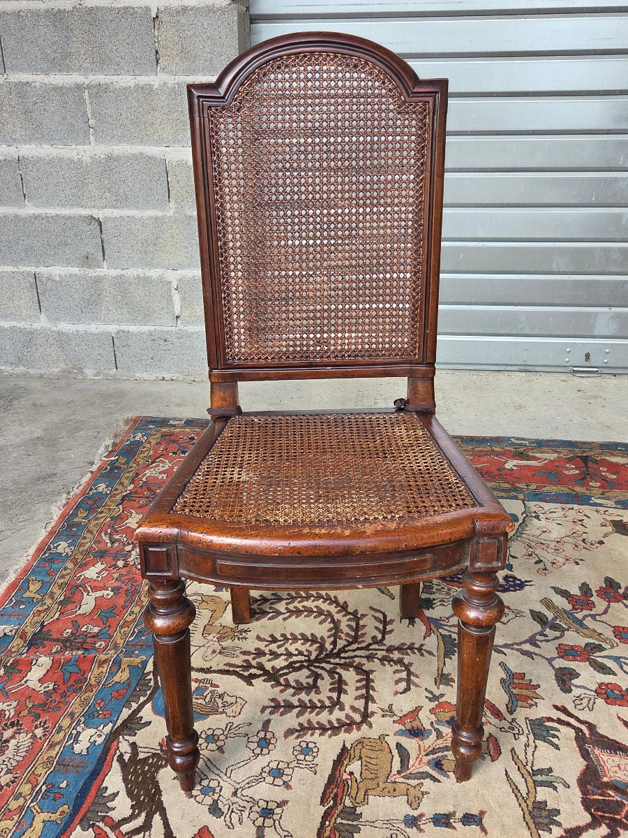 Set Of 8 Caned Walnut Chairs, Louis XIII Style, 19th Century. -photo-3