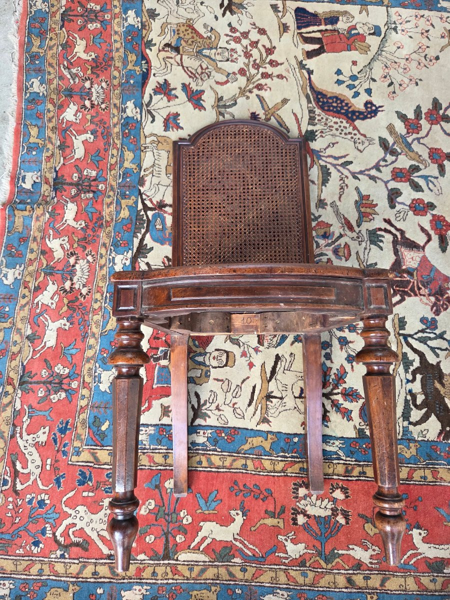 Set Of 8 Caned Walnut Chairs, Louis XIII Style, 19th Century. -photo-4
