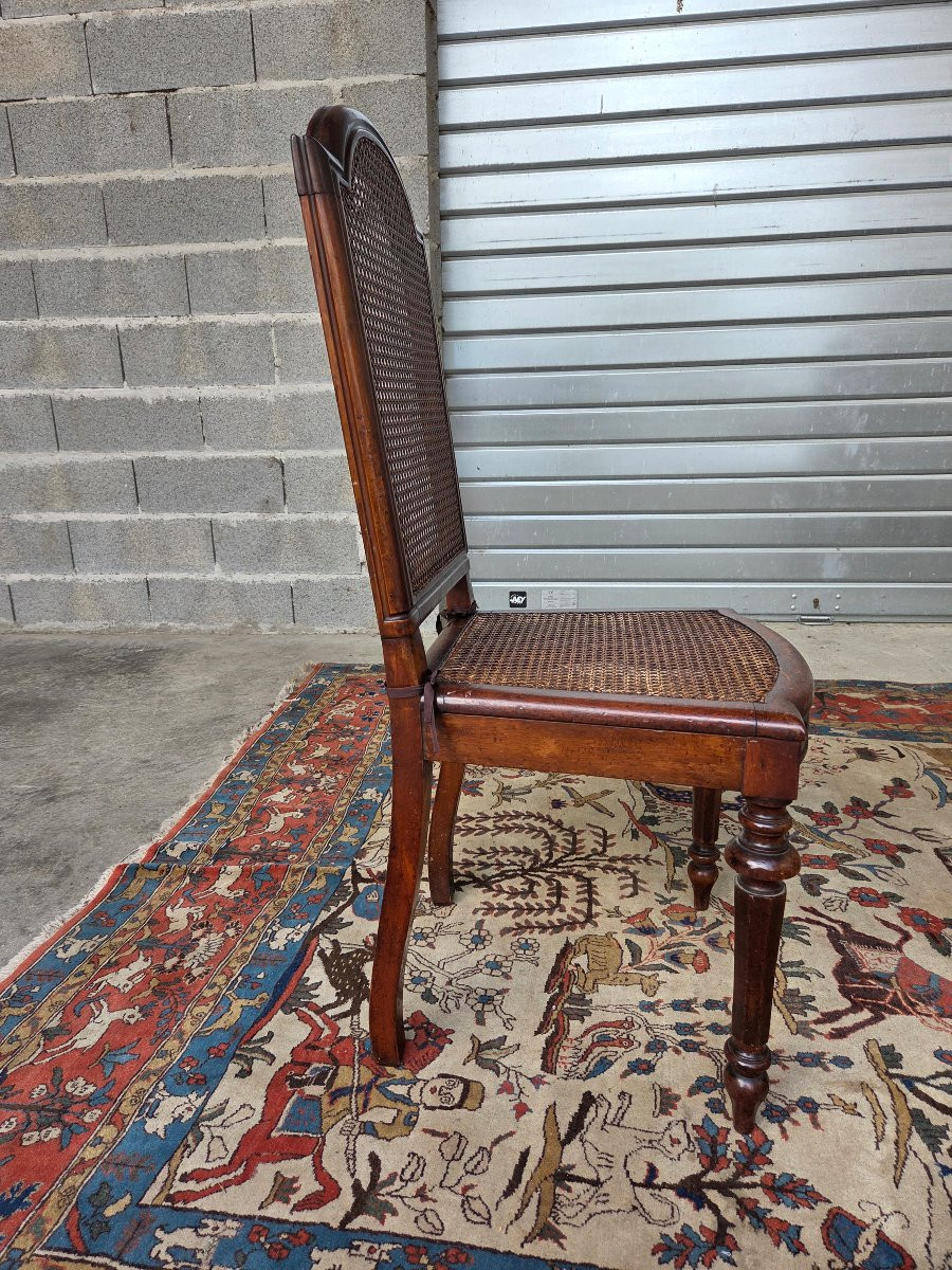 Set Of 8 Caned Walnut Chairs, Louis XIII Style, 19th Century. -photo-5