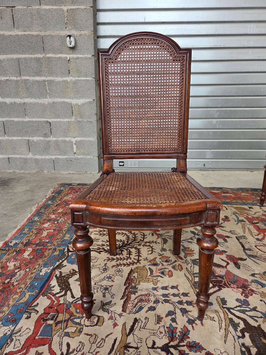 Set Of 8 Caned Walnut Chairs, Louis XIII Style, 19th Century. -photo-6