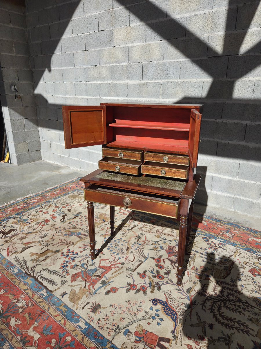 Mahogany -photo-1