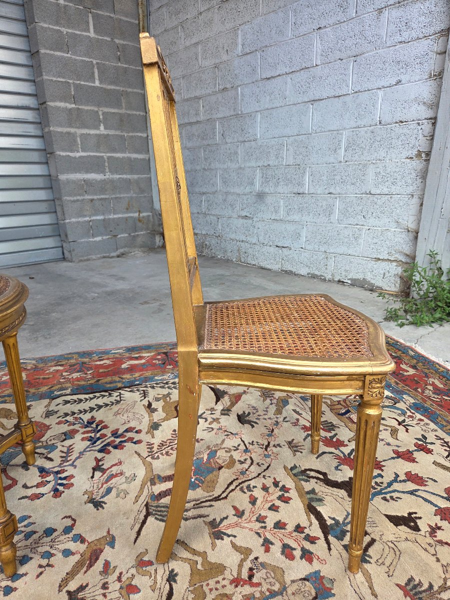 Paire de chaises en bois doré, Louis XVI, d'époque XIXème -photo-7