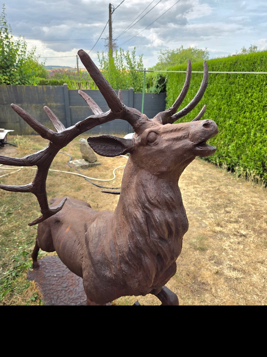 Large Cast-iron Stag Bellowing, 20th Century-photo-2