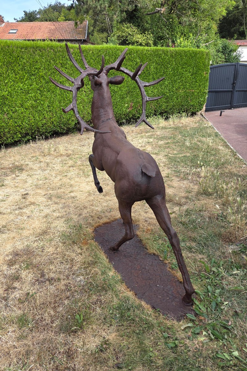 Large Cast-iron Stag Bellowing, 20th Century-photo-5