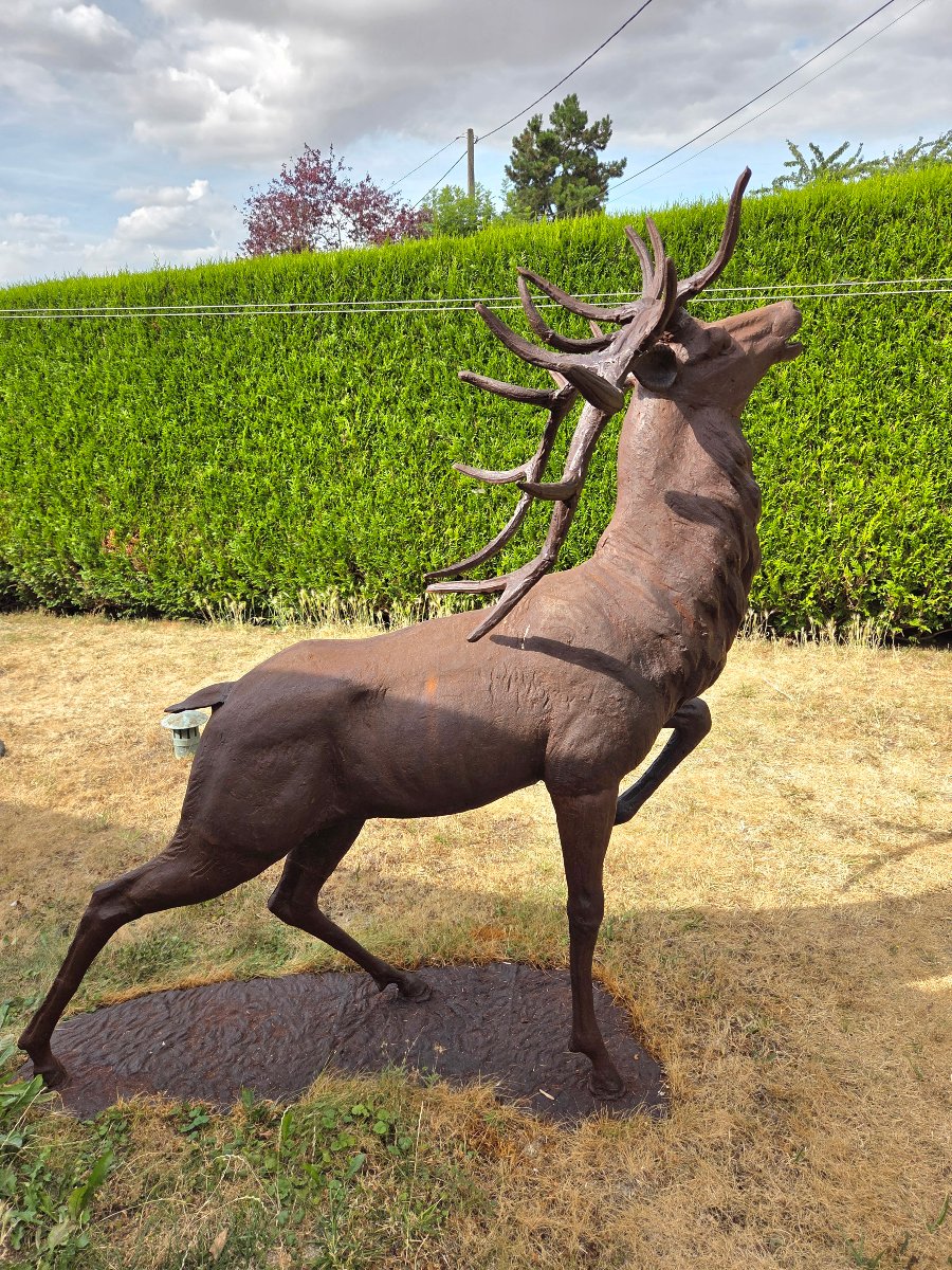 Large Cast-iron Stag Bellowing, 20th Century-photo-7
