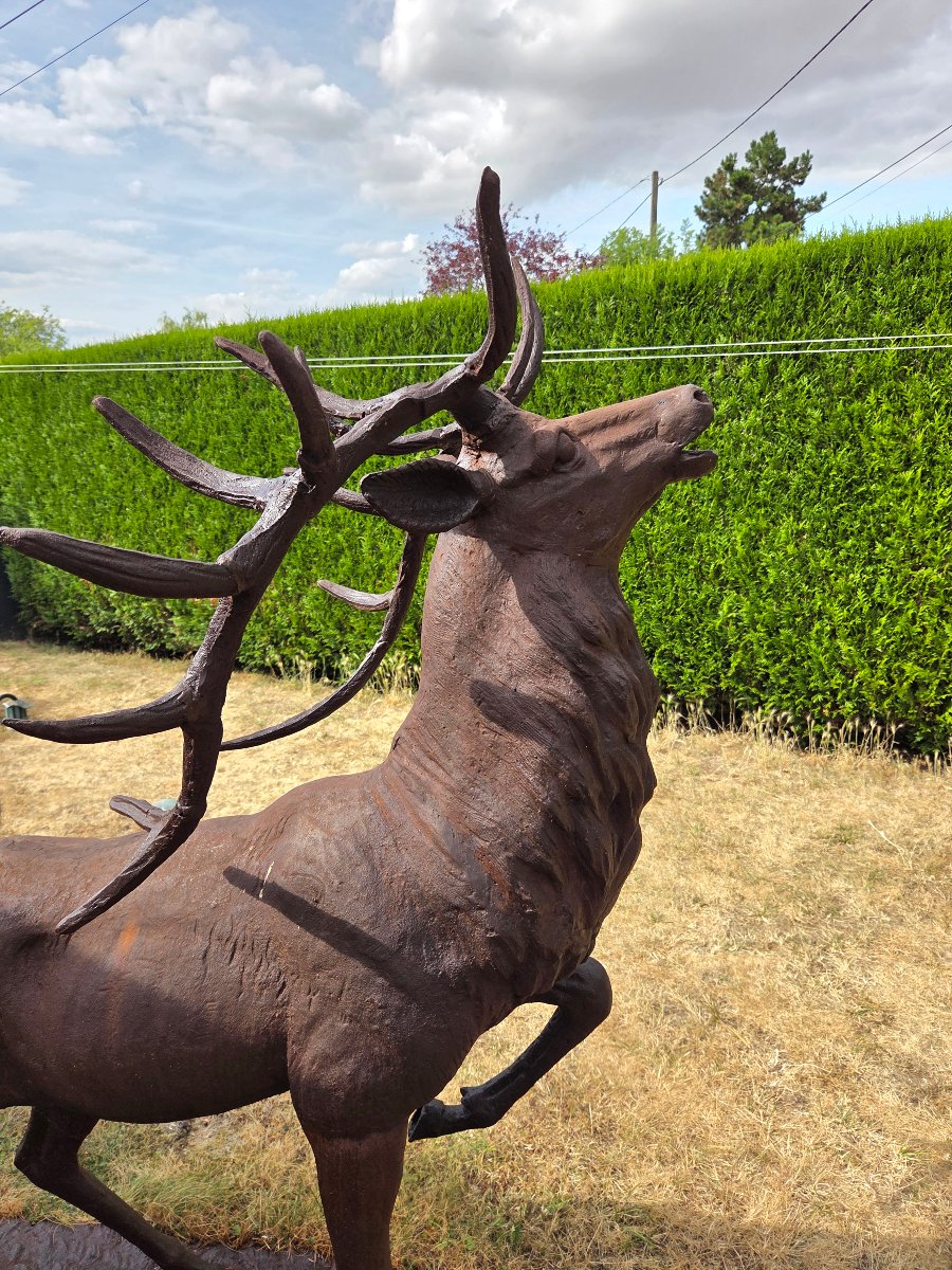 Cast-iron Bellowing Stag. Garden Sculpture. Late 19th / Early 20th Century-photo-4