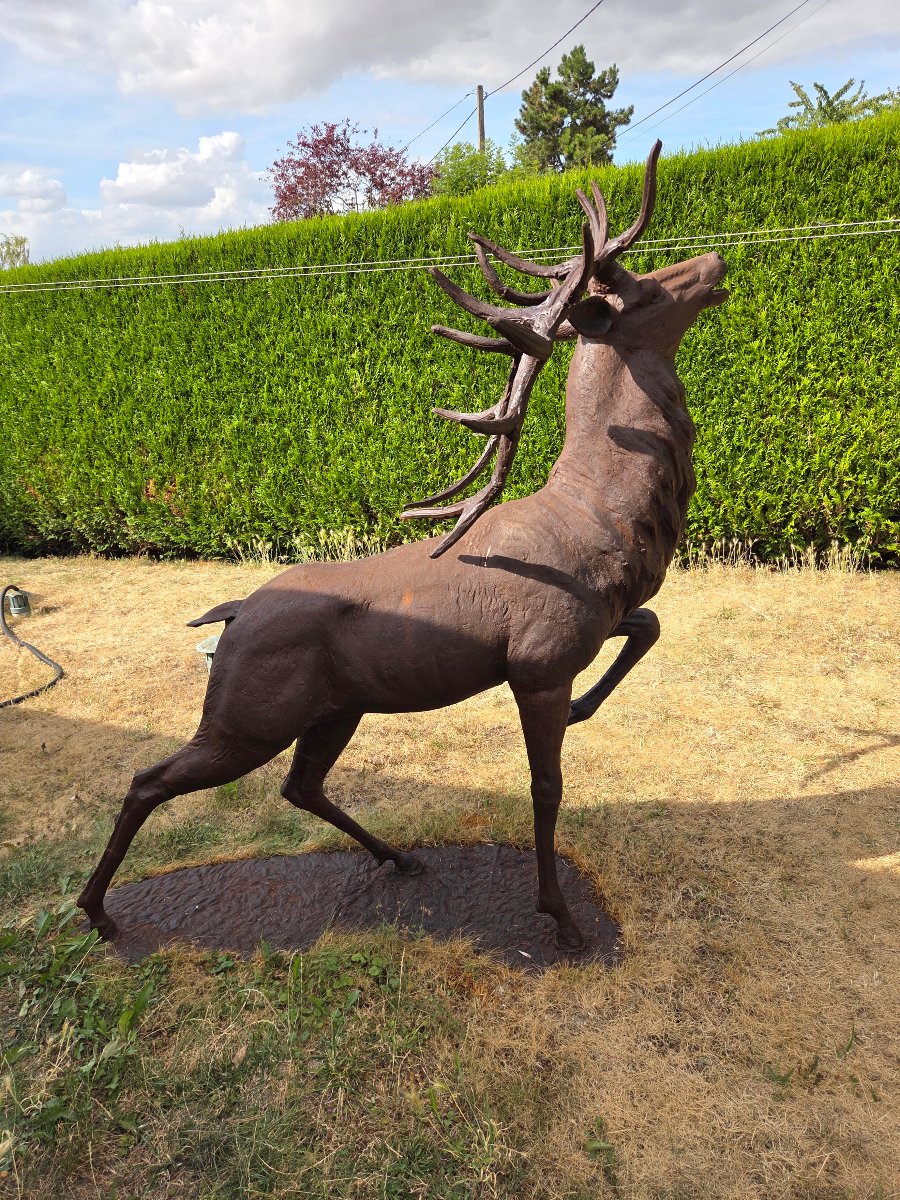 Cast-iron Bellowing Stag. Garden Sculpture. Late 19th / Early 20th Century-photo-2