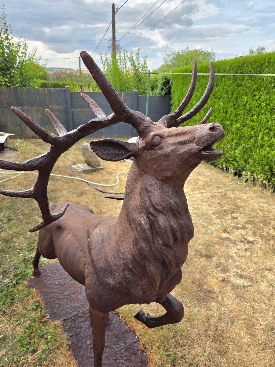 Cast-iron Bellowing Stag. Garden Sculpture. Late 19th / Early 20th Century-photo-3