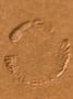 1843505-6ada3d450b731.jpg
