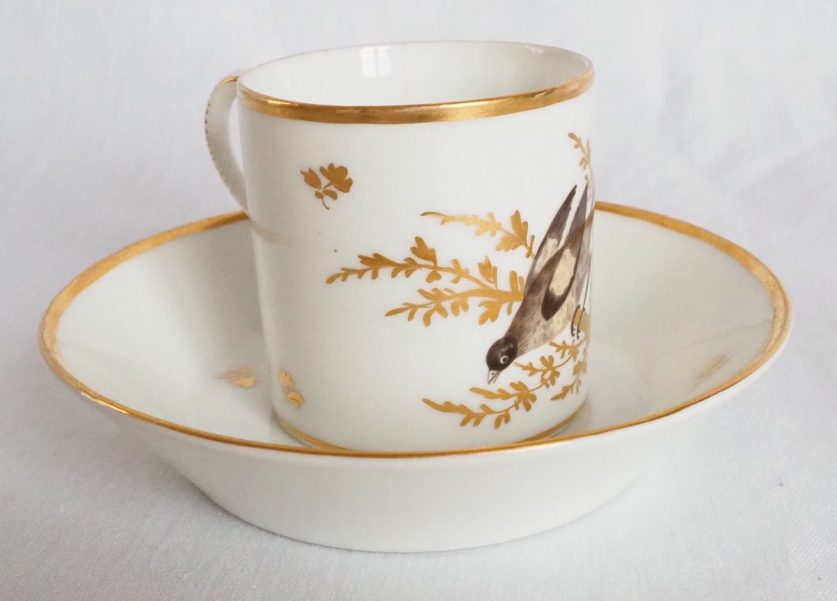 Brussels Porcelain Coffee Set : 8 Coffee Cups, Fine Gold And Polychromatic Birds Circa 1800-photo-2