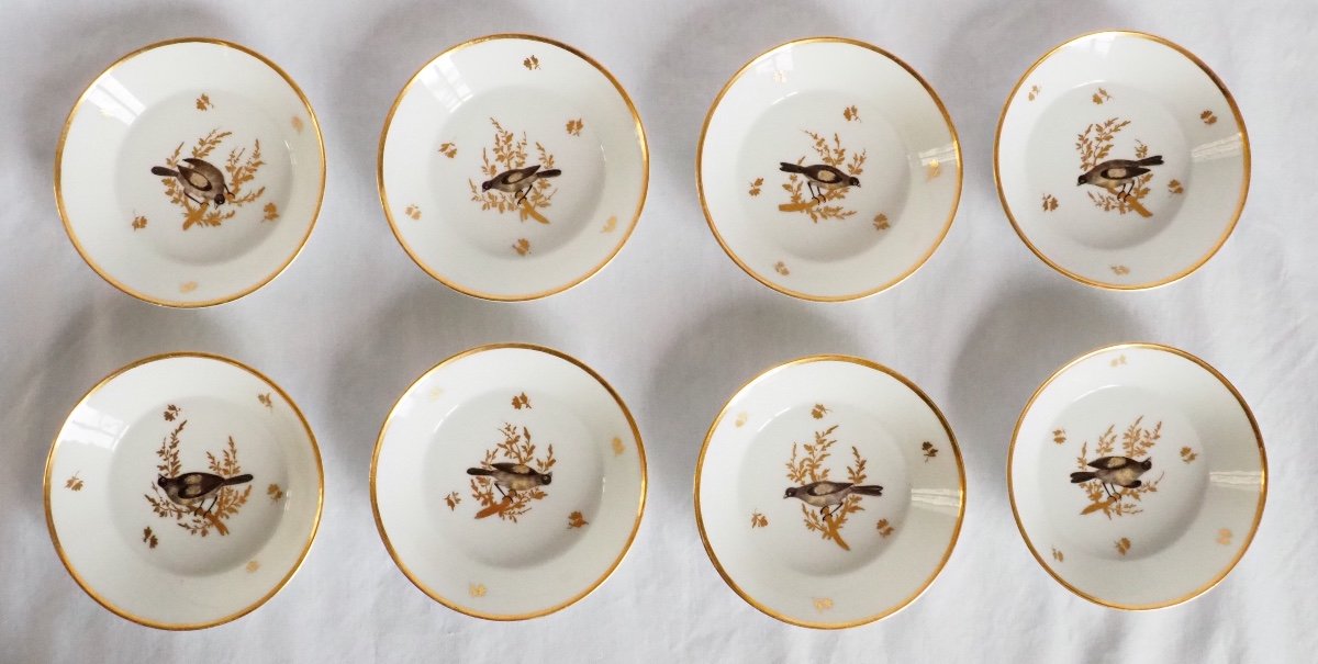 Brussels Porcelain Coffee Set : 8 Coffee Cups, Fine Gold And Polychromatic Birds Circa 1800-photo-3