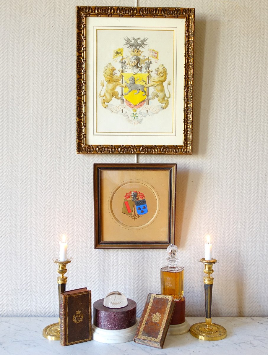 Agry In Paris - Heraldic Project Of Coat Of Arms Of Alliance - Gouache-photo-5