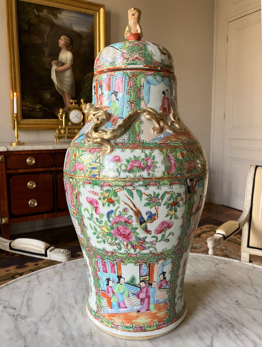 Fine Canton Porcelain Vase / Potiche, China, 19th Century - 45,5cm-photo-1