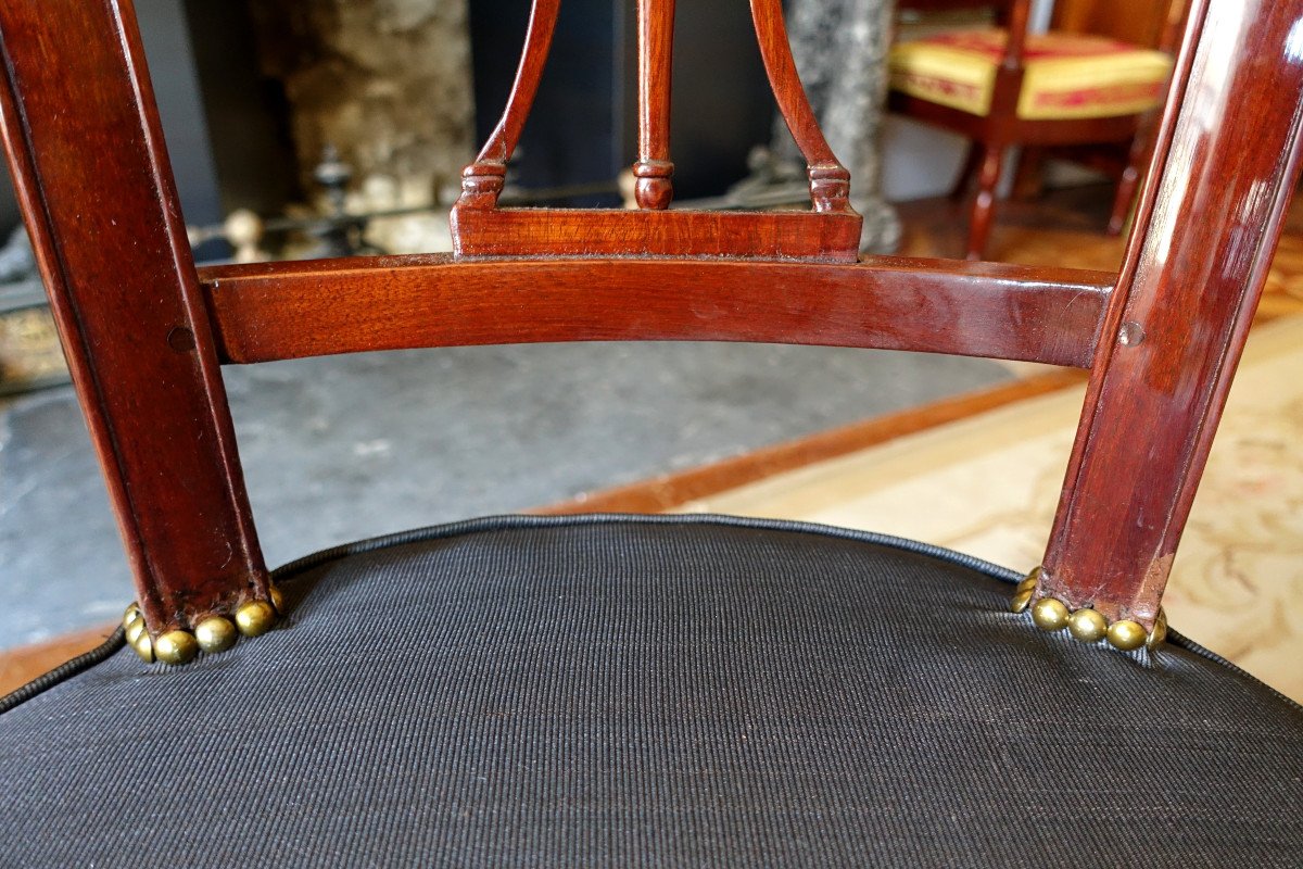 Paire De Chaises Directoire à La Russe En Acajou laiton ébène à Couverture En Crin De Cheval -photo-5