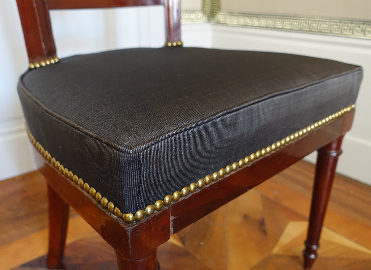 Paire De Chaises Directoire à La Russe En Acajou laiton ébène à Couverture En Crin De Cheval -photo-7