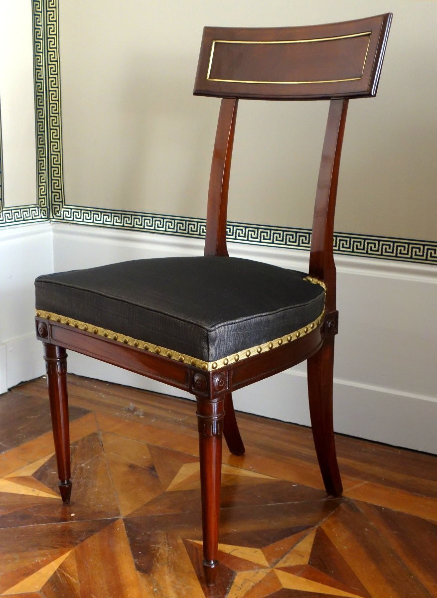 Pair Of Etruscan-style Mahogany Chairs From The Directoire Period With Horsehair Upholstery-photo-2