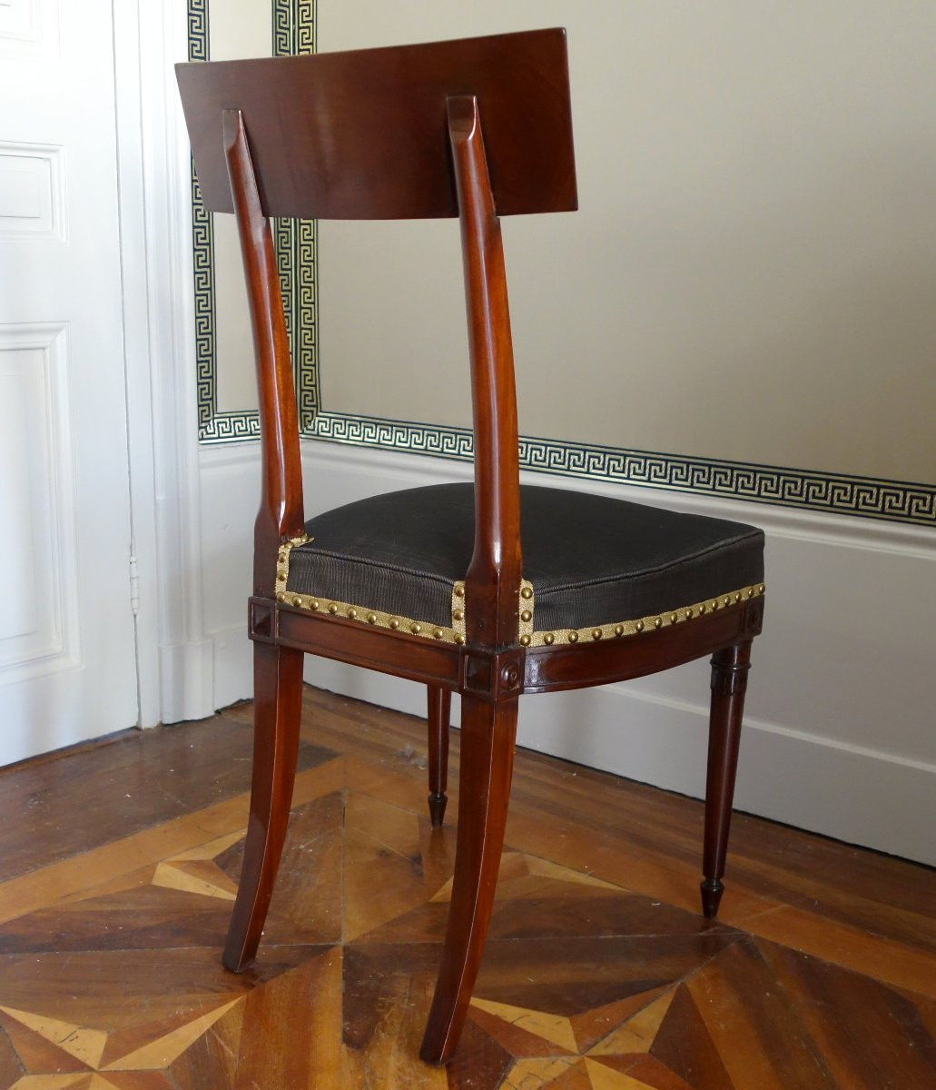 Pair Of Etruscan-style Mahogany Chairs From The Directoire Period With Horsehair Upholstery-photo-3