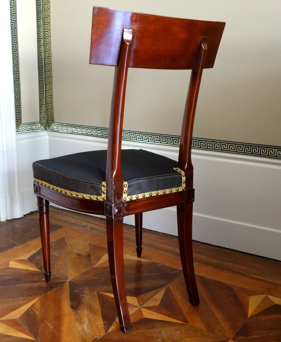 Pair Of Etruscan-style Mahogany Chairs From The Directoire Period With Horsehair Upholstery-photo-4
