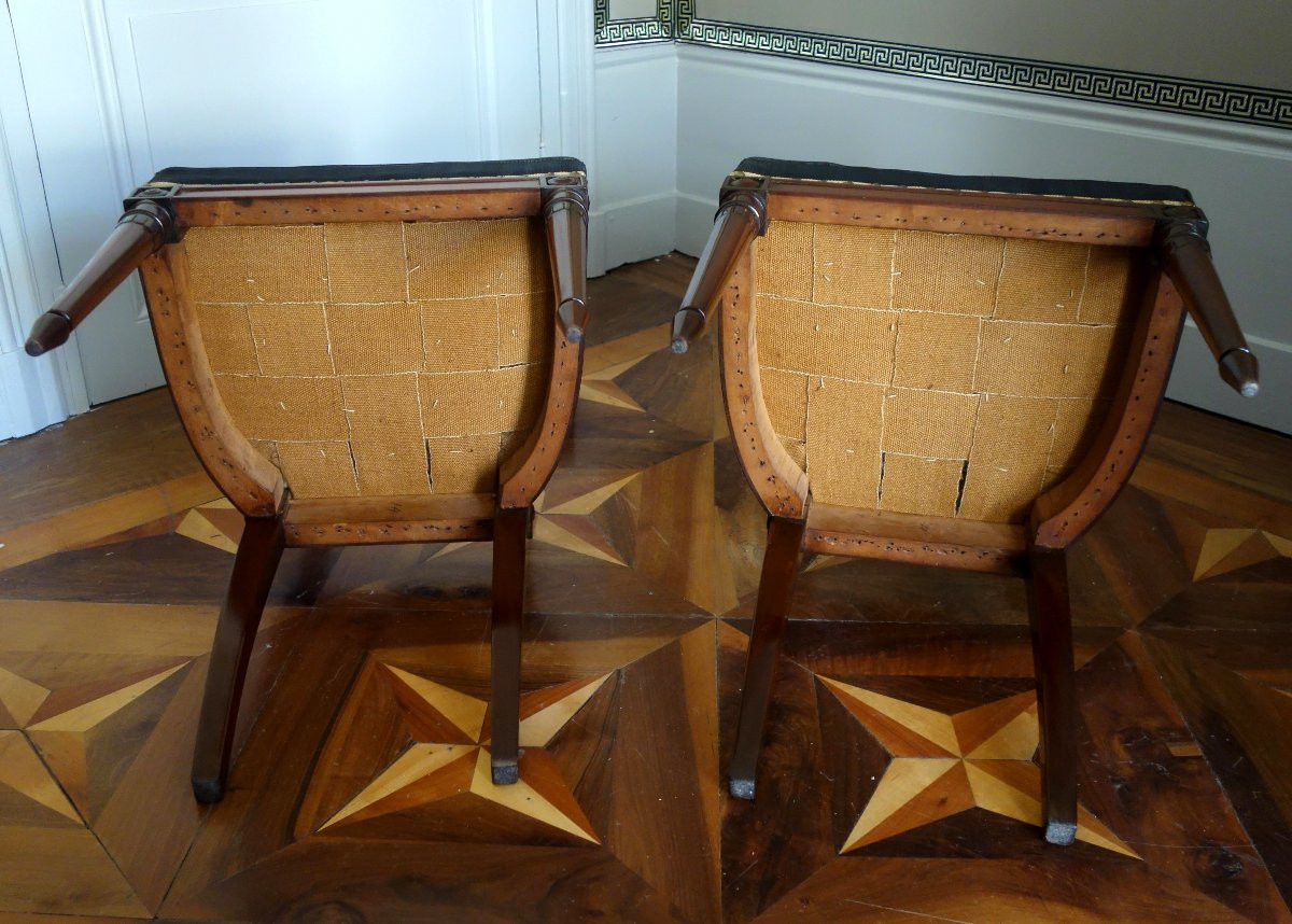 Pair Of Etruscan-style Mahogany Chairs From The Directoire Period With Horsehair Upholstery-photo-6