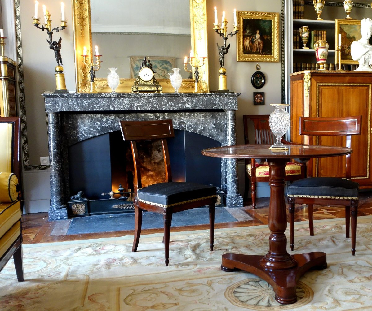 Pair Of Etruscan-style Mahogany Chairs From The Directoire Period With Horsehair Upholstery-photo-8
