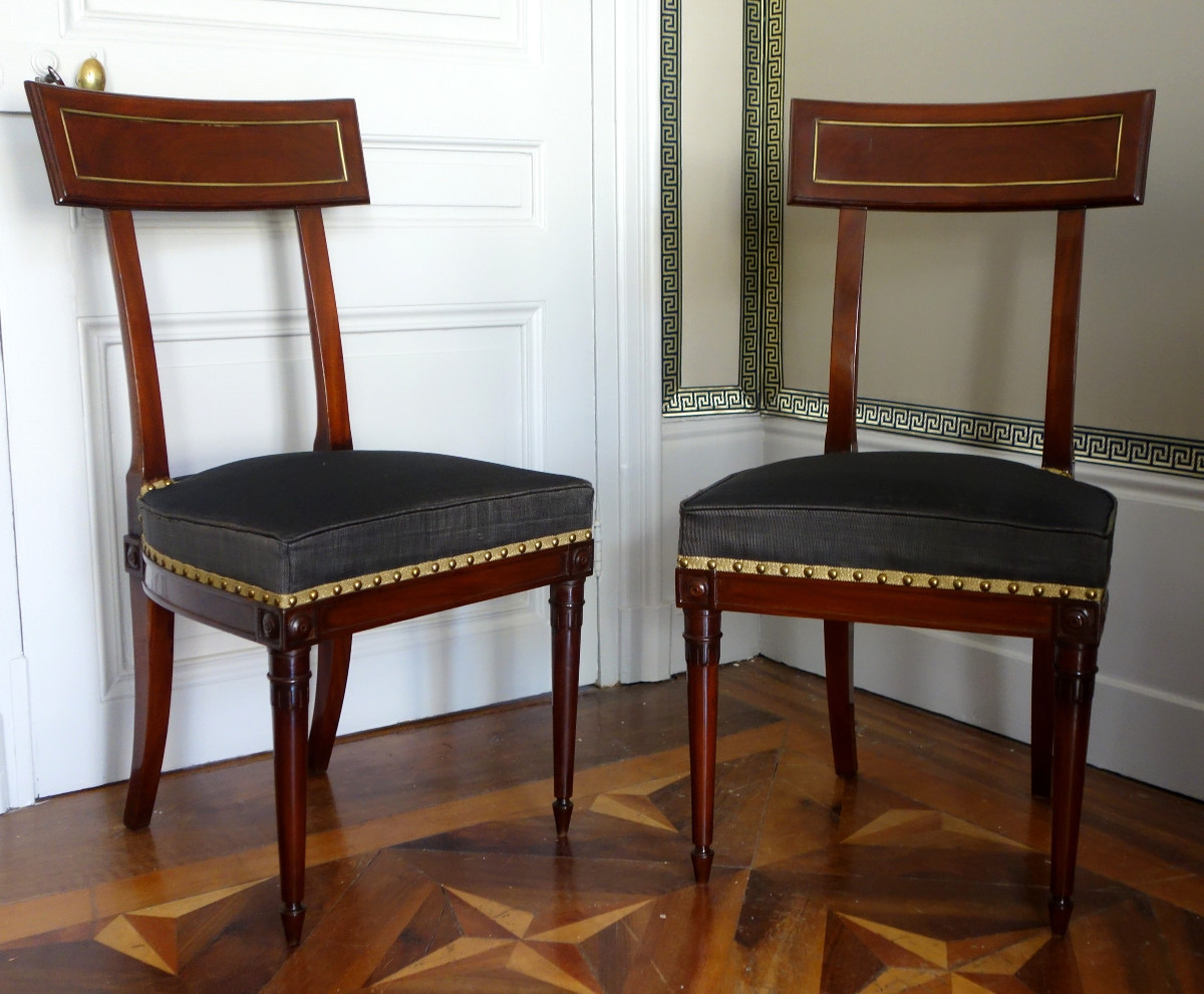 Pair Of Etruscan-style Mahogany Chairs From The Directoire Period With Horsehair Upholstery