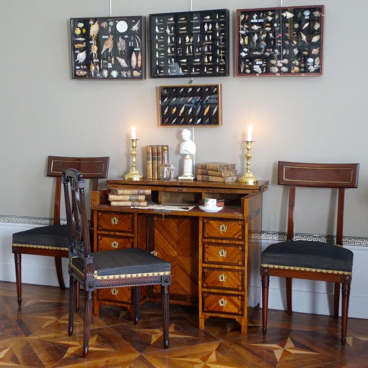 Cabinet de curiosité - collection de coquillages fossiles en coffret vitré-photo-5