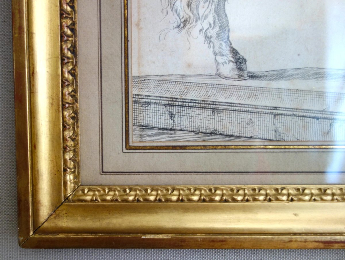 Portrait &eacute;questre de Louis XIV d'apr&egrave;s la statue de Girardon, gravure , XVIIIe si&egrave;cle-photo-3