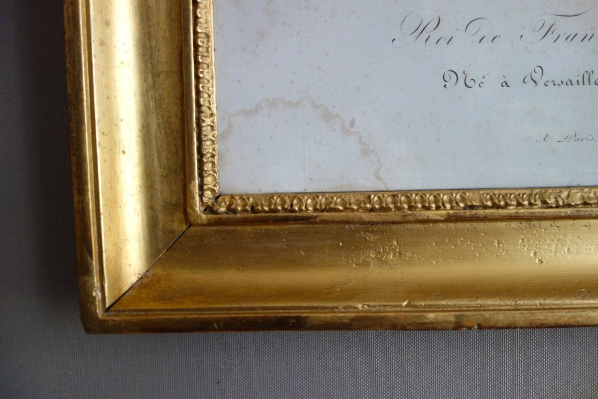 Royalist Engraving - Portrait Of Charles X, King Of France And Navarre, Giltwood Frame, 1820-photo-5