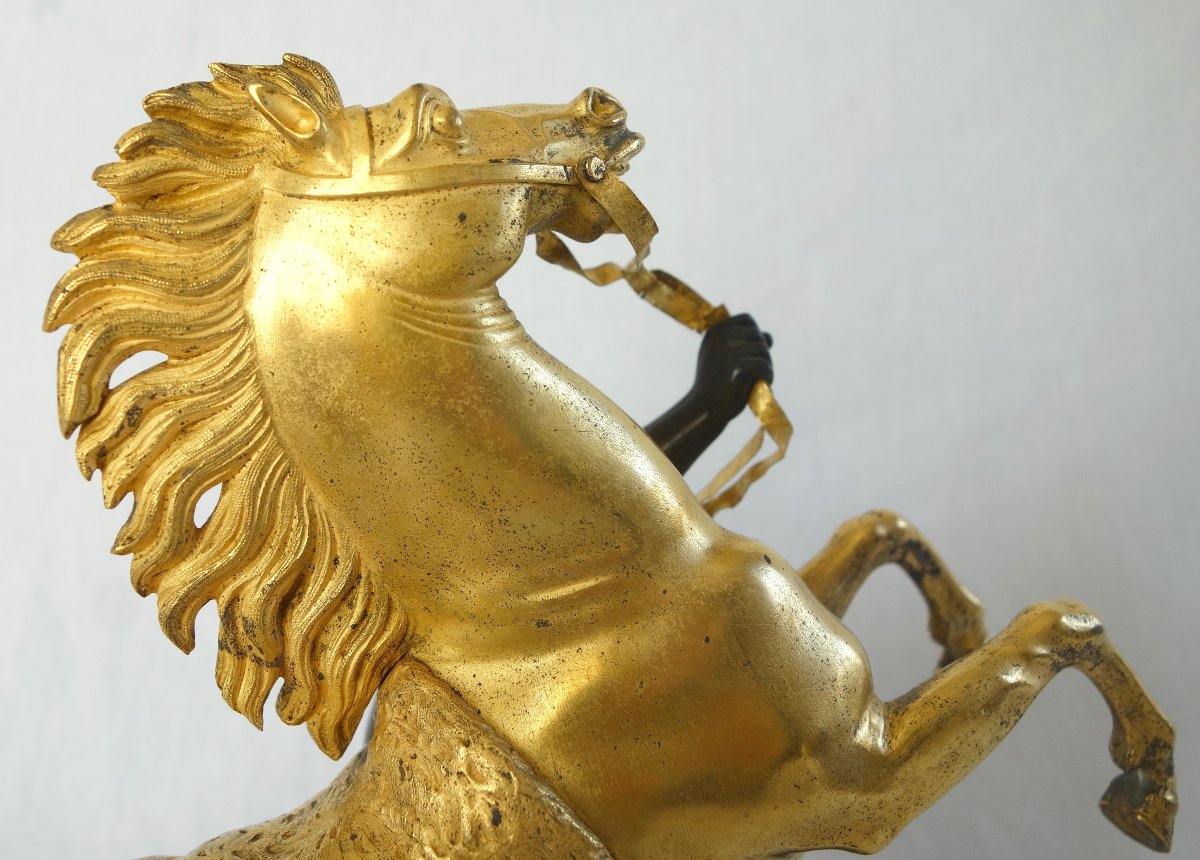 Cheval de Marly groupe en bronze patiné et doré au mercure d'époque Restauration - début 19ème-photo-3