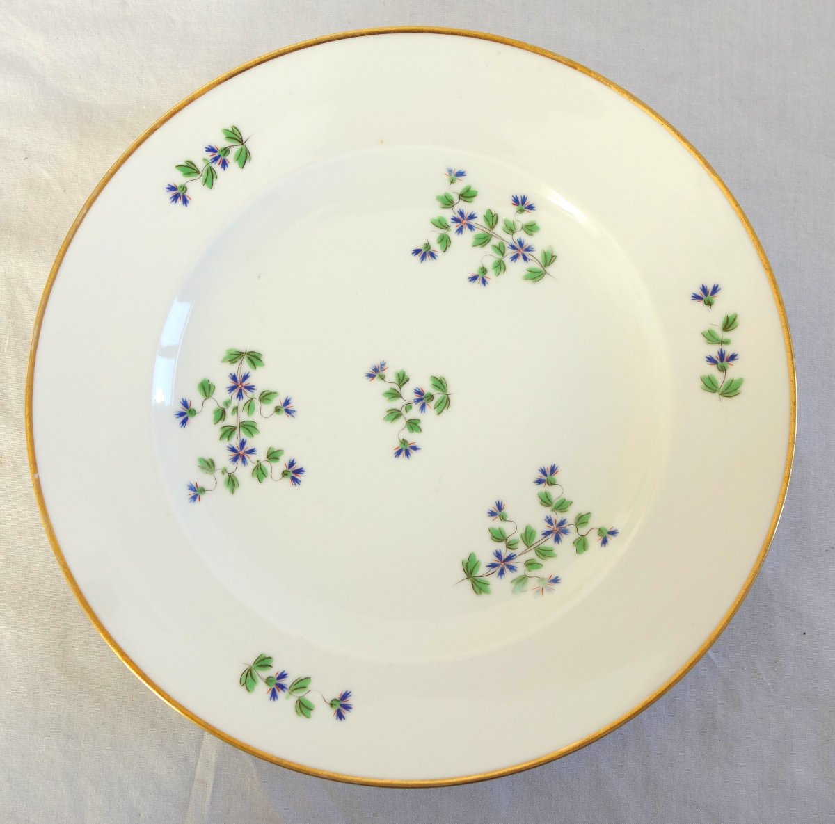Dihl & Guerhard Manufactory—set Of 12 Dinner Plates Featuring Barbel—signed-photo-2
