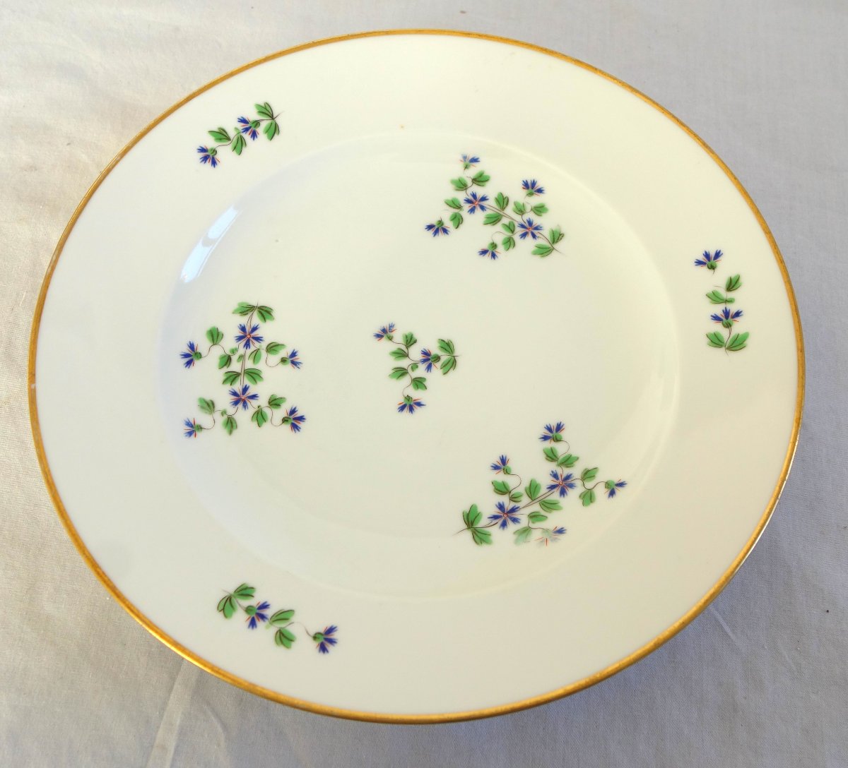 Dihl & Guerhard Manufactory—set Of 12 Dinner Plates Featuring Barbel—signed-photo-3