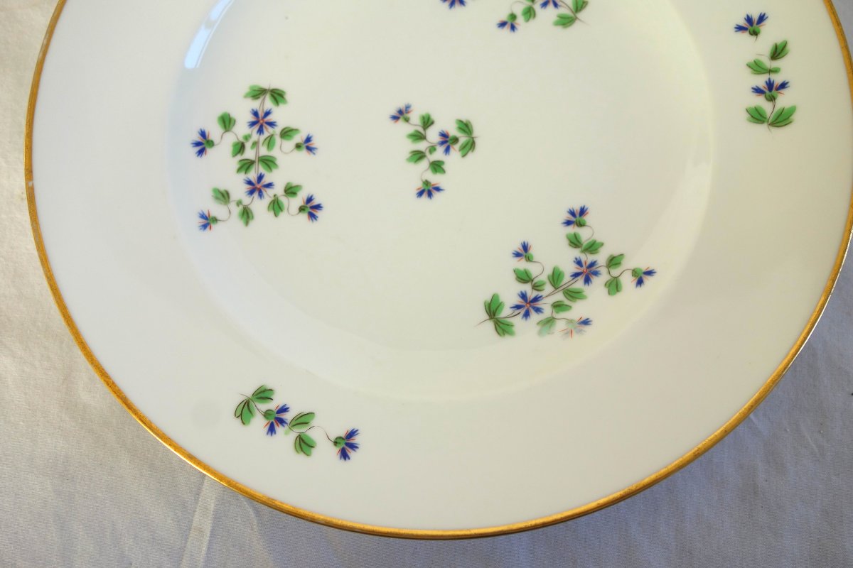Dihl & Guerhard Manufactory—set Of 12 Dinner Plates Featuring Barbel—signed-photo-4