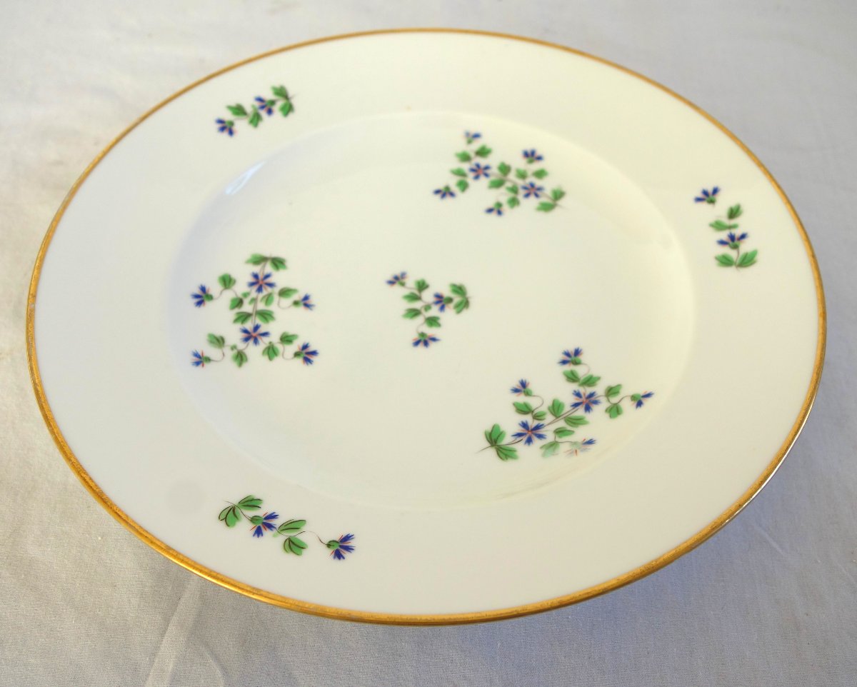 Dihl & Guerhard Manufactory—set Of 12 Dinner Plates Featuring Barbel—signed-photo-1