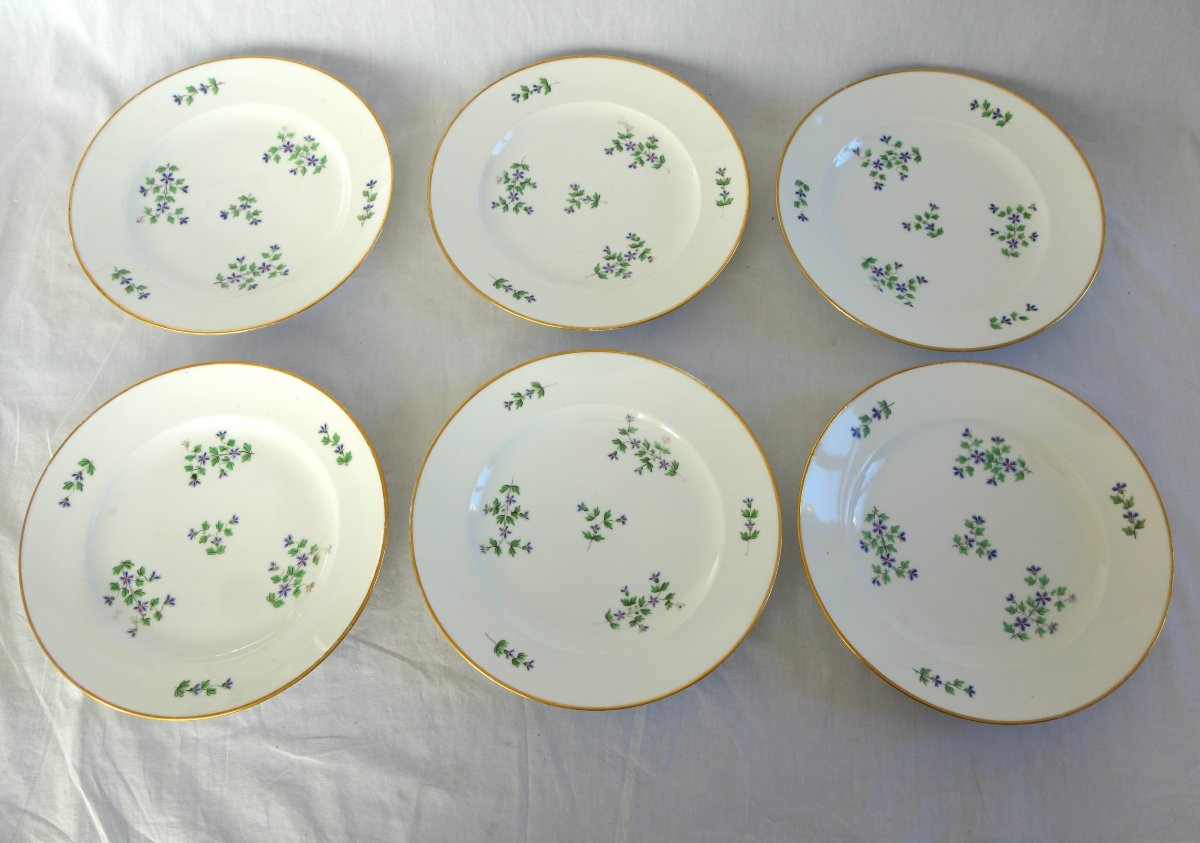 Dihl & Guerhard Manufactory—set Of 12 Dinner Plates Featuring Barbel—signed-photo-3