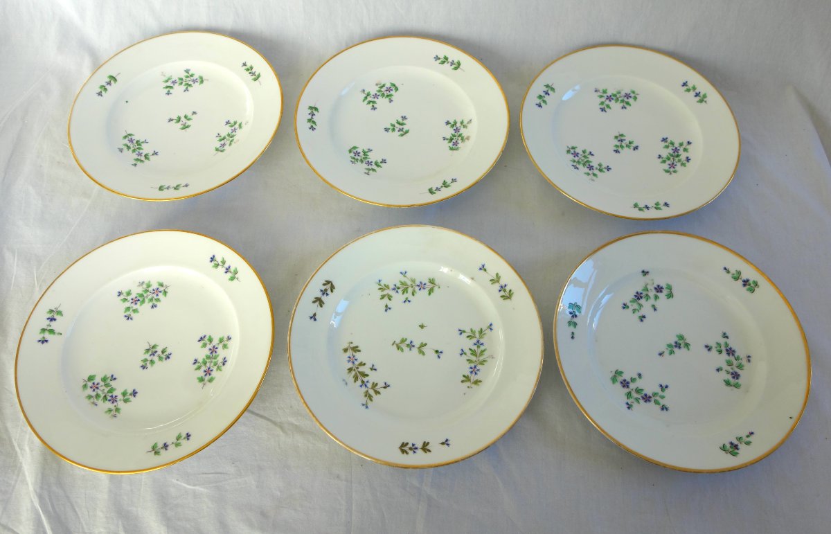 Dihl & Guerhard Manufactory—set Of 12 Dinner Plates Featuring Barbel—signed-photo-5