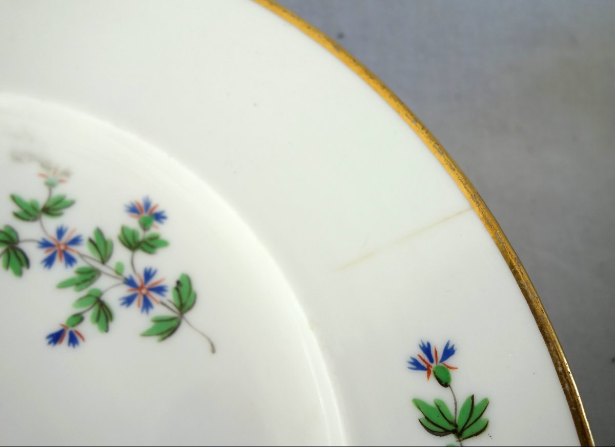 Dihl & Guerhard Manufactory—set Of 12 Dinner Plates Featuring Barbel—signed-photo-7