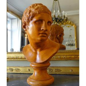 Antique Bust Of Young Roman Man