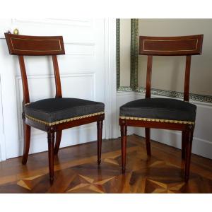 Pair Of Etruscan-style Mahogany Chairs From The Directoire Period With Horsehair Upholstery