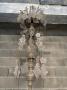 1774046-alb-6a2580fe7c1cb.jpg