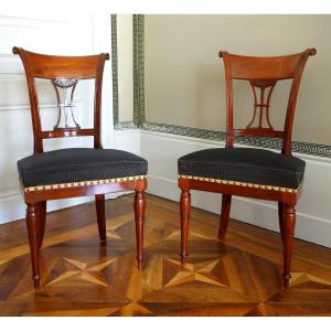Jean Baptiste Demay - paire de chaises d'époque Directoire en acajou recouvertes de crin cheval