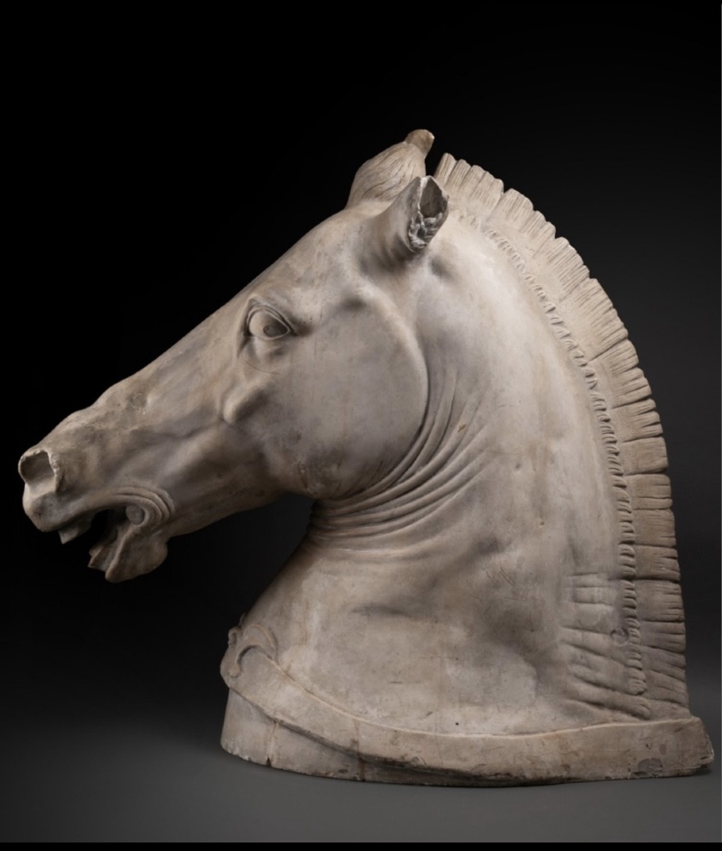 Tête de cheval d après Donatello-photo-3