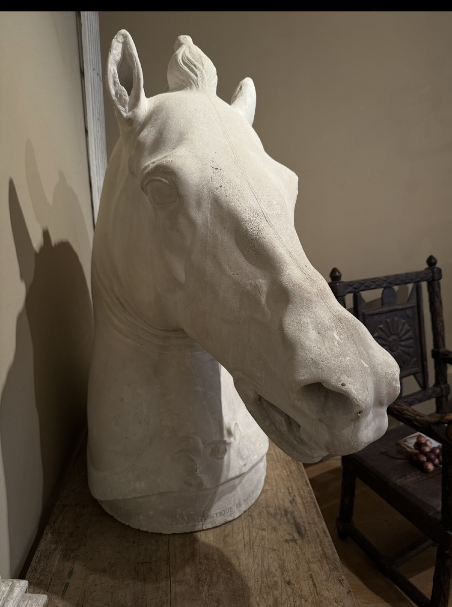 Tête de cheval d après Donatello-photo-4