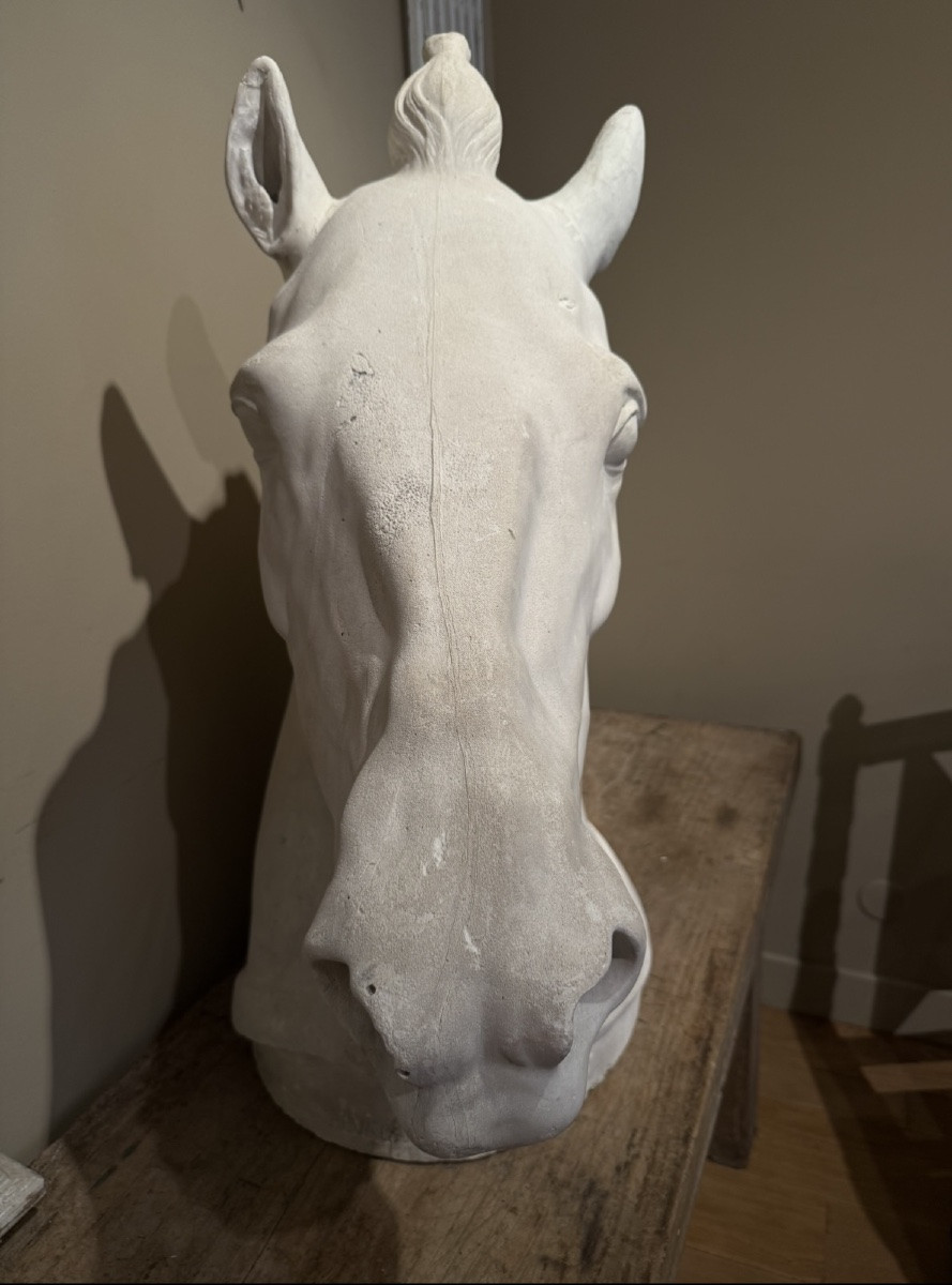 Tête de cheval d après Donatello-photo-1