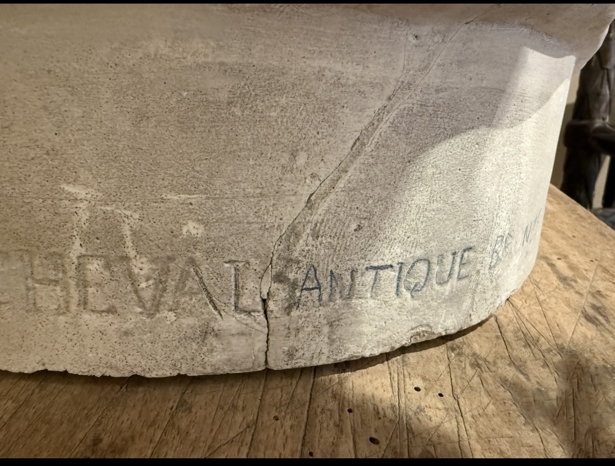 Tête de cheval d après Donatello-photo-3