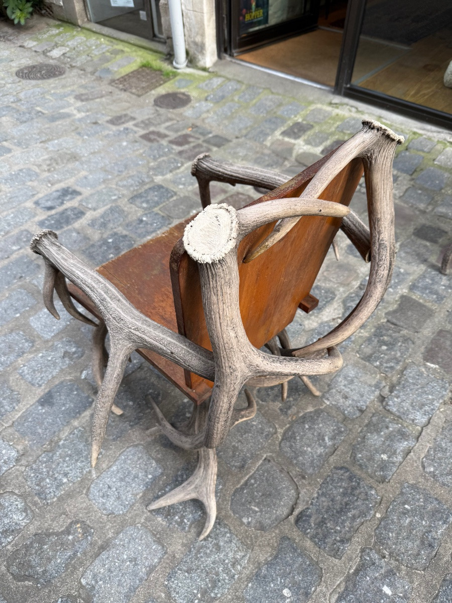 Pair Of Deer Antler Armchairs -photo-1