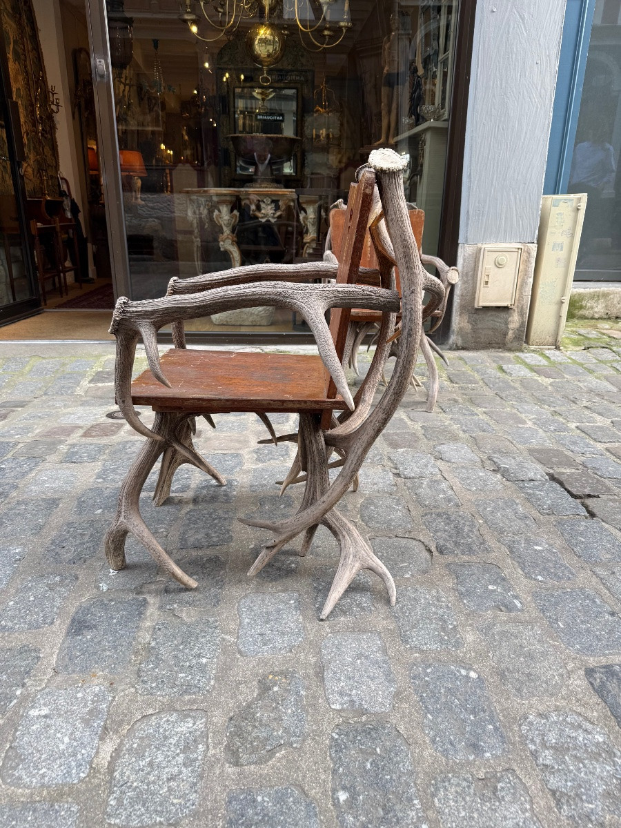 Pair Of Deer Antler Armchairs -photo-2